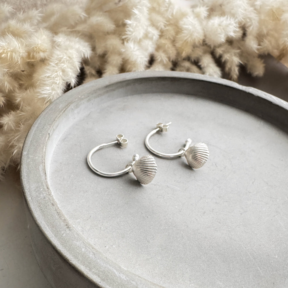 Silver cockle shell charms on silver hoop earrings on a gray surface with a textured beige background