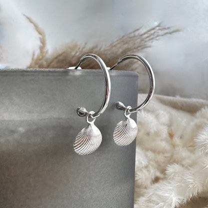 Silver hoop earrings with Cockle shell charms on a soft  natural background