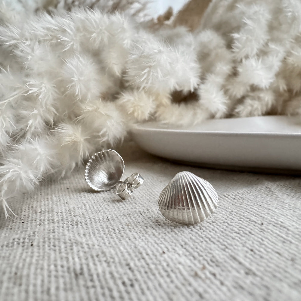 Silver cockle shell earrings on a textured surface with a soft white background