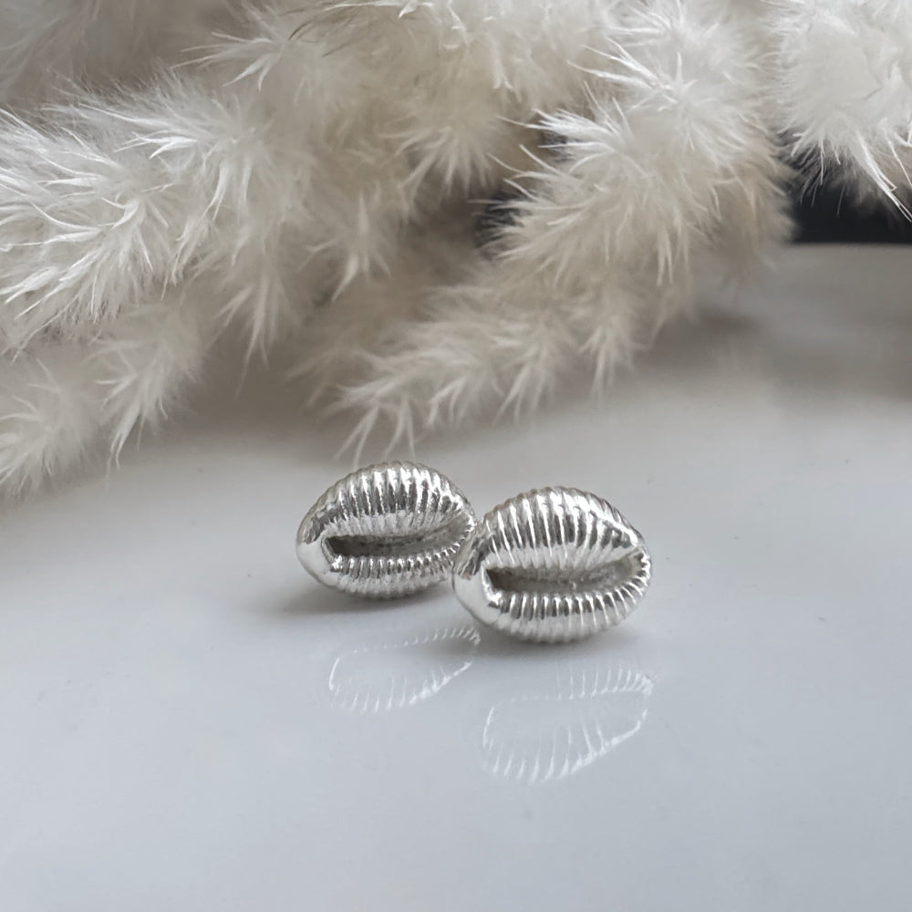 Silver cowrie shell stud earrings on a white surface with a fluffy white background