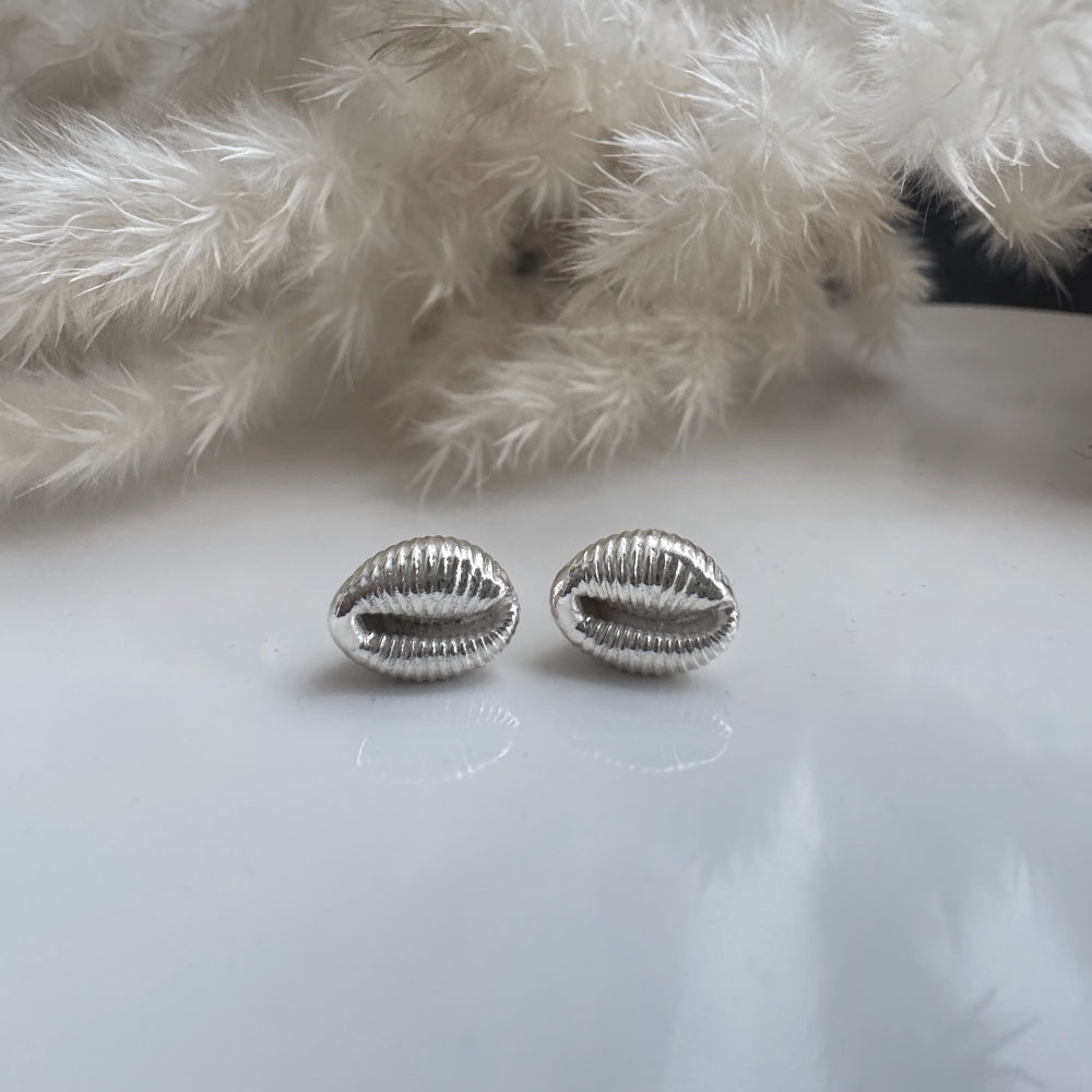 Silver Cowrie shell stud earrings on a white surface with a fluffy white dried grass in the background