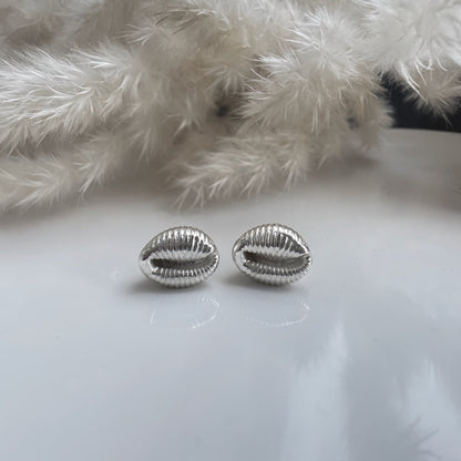 Silver Cowrie shell stud earrings on a white surface with a fluffy white dried grass in the background