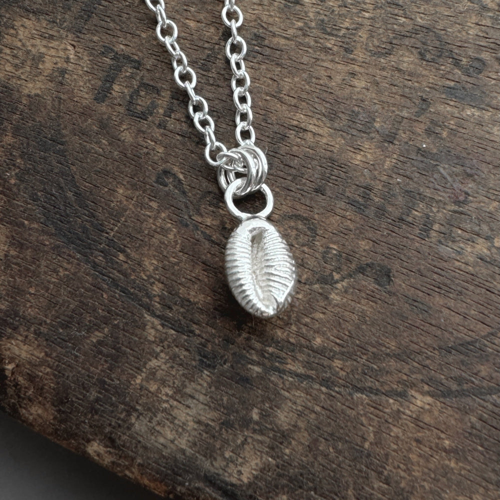 Silver Cowrie Shell pendant on a silver chain on a wooden surface