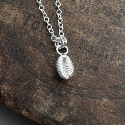 Silver Cowrie Shell pendant on a silver chain on a wooden surface