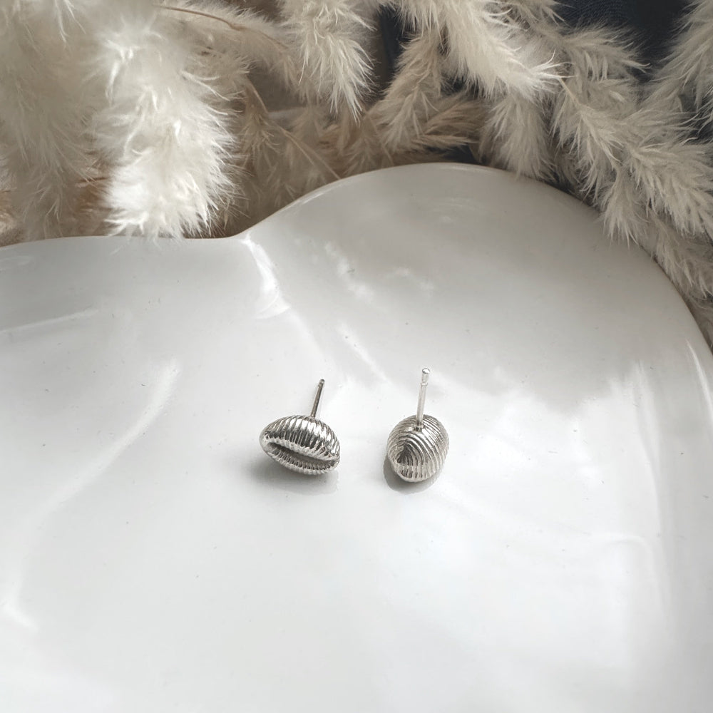 Silver Cowrie Shell earrings on a white surface with a fluffy white died grass  background