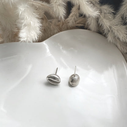 Silver Cowrie Shell earrings on a white surface with a fluffy white died grass  background