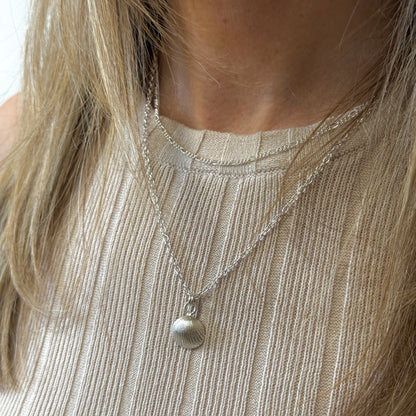 Silver Cockle Shell Necklace