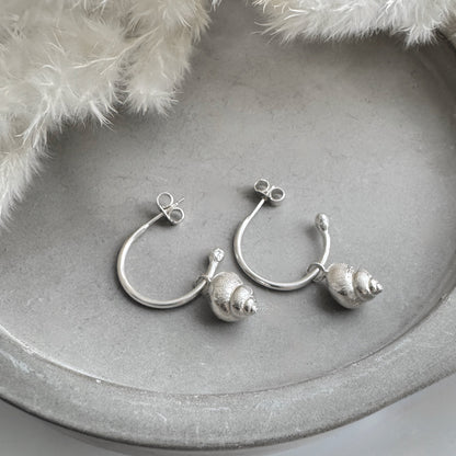 Silver periwinkle shell hoop earrings on a gray surface with white feathers in the background