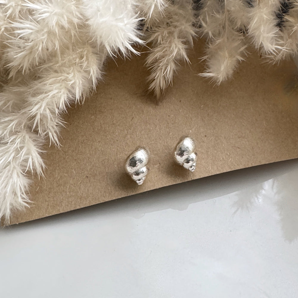 Silver Periwinkle Shell earrings on a cardboard backing with white decorative elements.