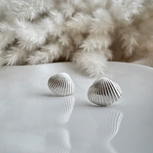 Silver cockle shell earrings on a reflective surface with a textured white background