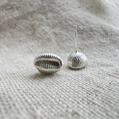 Silver Cowrie shell stud earrings  one front on the other upside down on a cream textured surface
