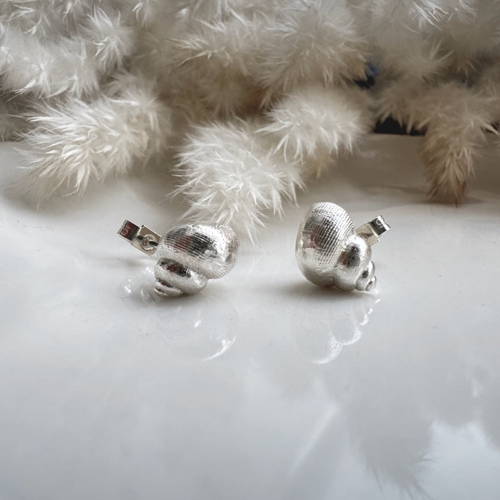 Silver periwinkle shell stud earrings on a white surface with a blurred background