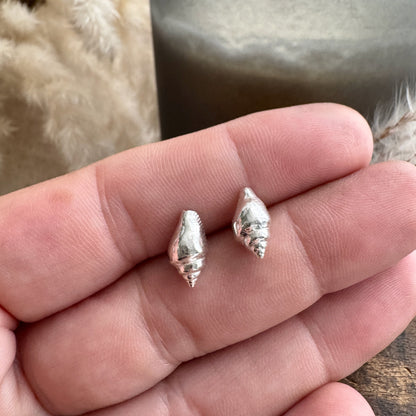 Silver whelk shell earrings held between fingers against a neutral background