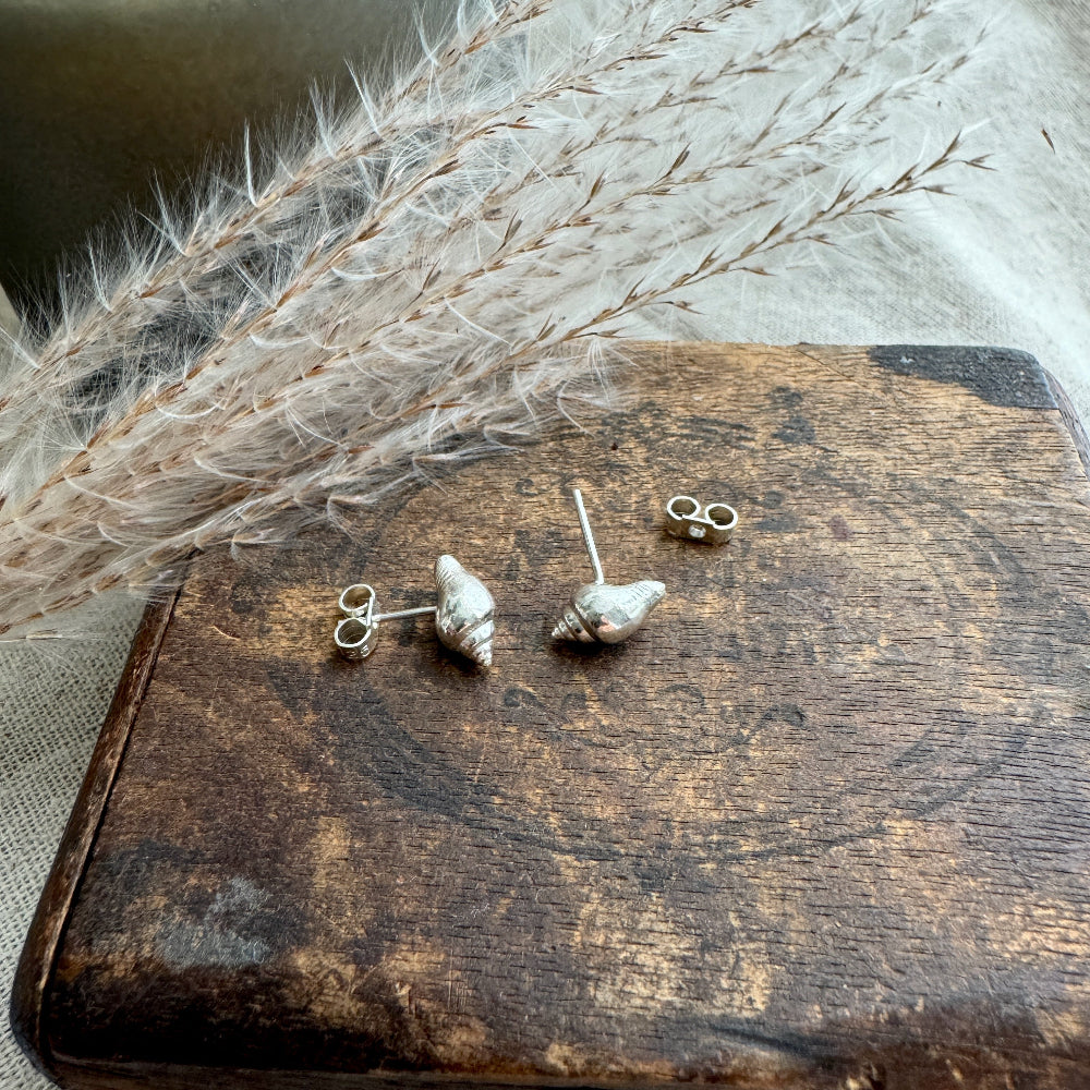 Silver whelk shell stud earrings on a wooden surface with dried grasses.