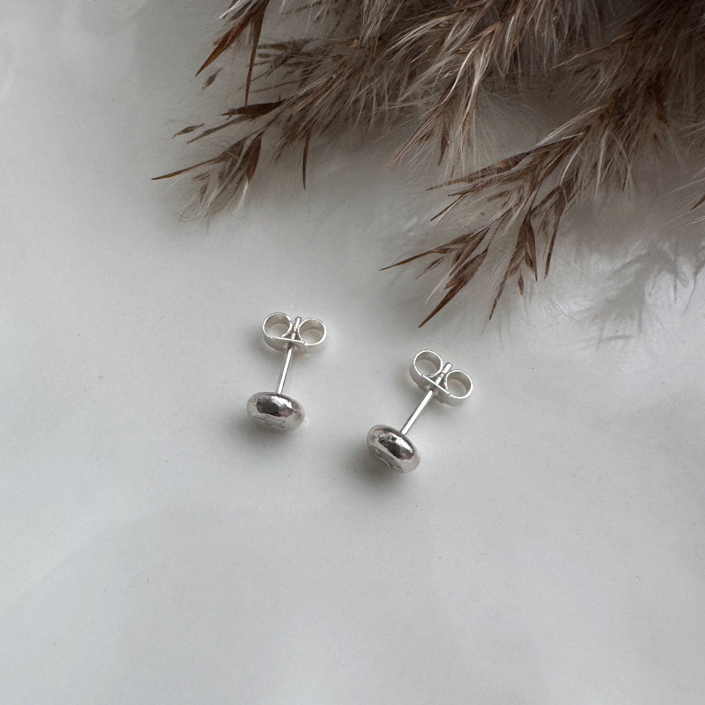 Silver star stud earrings on a white surface with dried grasses in the background