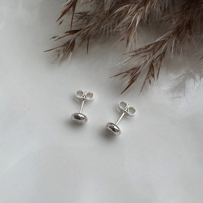 Silver star stud earrings on a white surface with dried grasses in the background