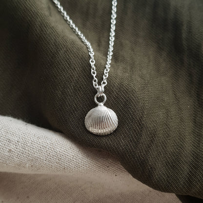 Silver Cockle Shell Necklace